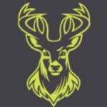 Ballynahinch RFC