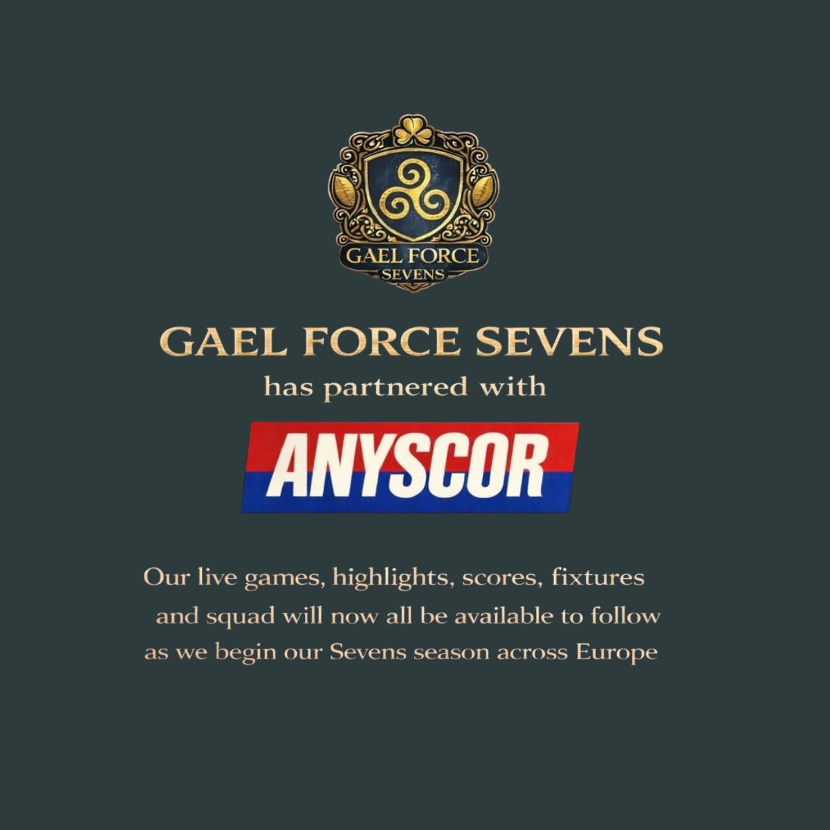 Gael Force Sevens Partnership