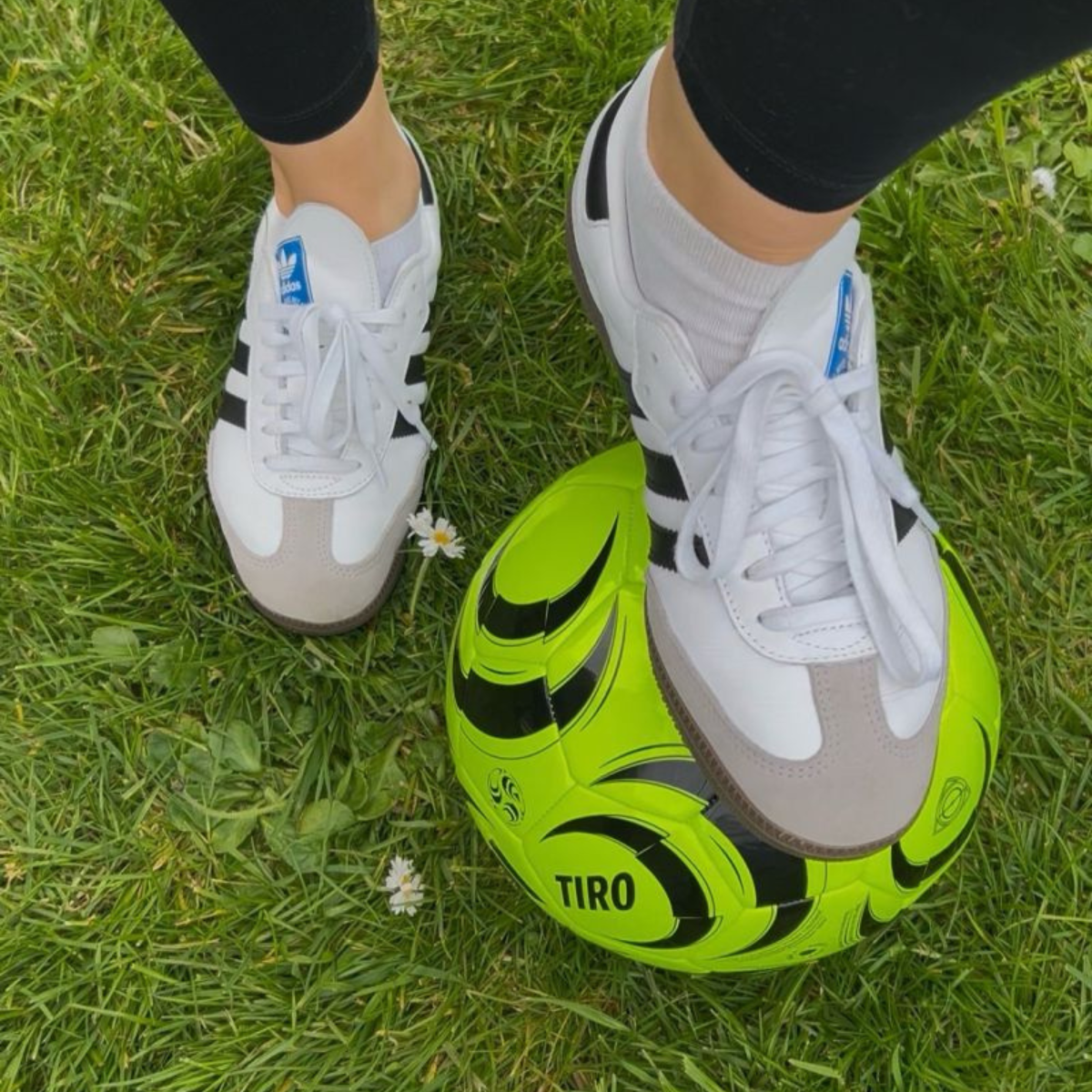 Anyscor Officially Launches Into Football